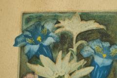 Lovely Framed Edelweiss Lithography Early 20th Century - 4528686