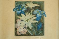 Lovely Framed Edelweiss Lithography Early 20th Century - 4528718