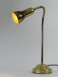 Lovely Mid Century Modern Gooseneck Brass Table Lamp Germany 1970s - 4719617