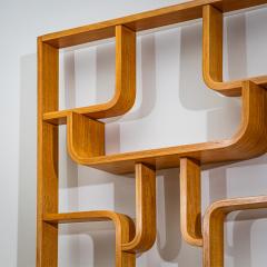 Ludvik Volak Mid Century Room Divider by Ludv k Vol k for D evopodnik Hole ov Czech Republic - 4696447