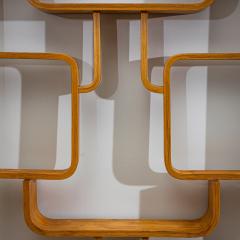 Ludvik Volak Mid Century Room Divider by Ludv k Vol k for D evopodnik Hole ov Czech Republic - 4696448