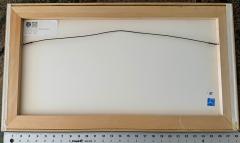 Ludwig Bemelmans Silly Willy Performing Seal Celebrates Happy Birthday - 4467791