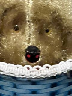 MID CENTURY ADORABLE PEEK A BOO PUPPY IN BASKET KEY WIND TOY - 3331768