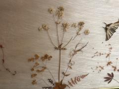 MID CENTURY BRASS AND GLASS DIORAMA WITH BUTTERFLIES HEADBOARD - 4637247