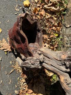 MID CENTURY ORGANIC ROOT CHANDELIER - 3383436