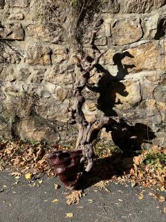MID CENTURY ORGANIC ROOT CHANDELIER - 3383437
