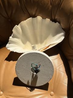 MODERN PAIR OF LARGE CLAM SHELL WALL SCONCES - 4275125