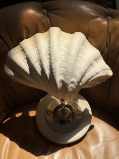 MODERN PAIR OF LARGE CLAM SHELL WALL SCONCES - 4275126
