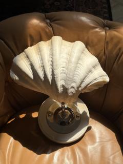 MODERN PAIR OF LARGE CLAM SHELL WALL SCONCES - 4275128