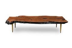 Madeira Contemporary Modern Rectangular Live Edge Petrified Wood and Polishe - 4660551
