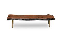 Madeira Contemporary Modern Rectangular Live Edge Petrified Wood and Polishe - 4660554