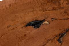 Madeira Contemporary Modern Rectangular Live Edge Petrified Wood and Polishe - 4660557