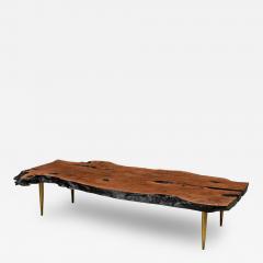 Madeira Contemporary Modern Rectangular Live Edge Petrified Wood and Polishe - 4717949