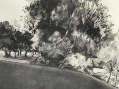 Madeleine Rosemarie Liepe Charcoal on paper The Edge of the Park Signed Liepe 70 - 3343343