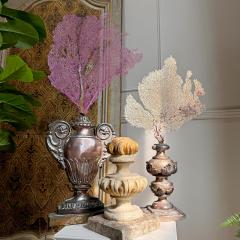 Magnificent 18th Century Italian Wood and Gesso Altar Vase in Rose Silver - 4084255