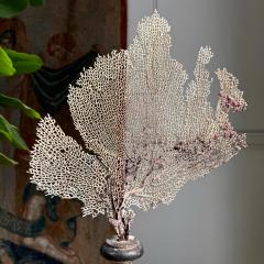 Magnificent 18th Century Italian Wood and Gesso Altar Vase in Rose Silver - 4084256