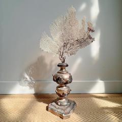 Magnificent 18th Century Italian Wood and Gesso Altar Vase in Rose Silver - 4084261