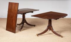 Mahogany Double Pedestal Reeded Edge Dining Table - 4212894