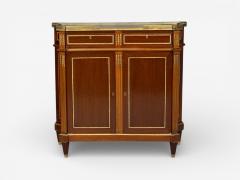 Maison Jansen Maison Jansen Russian Neoclassical Style Large Cabinets Mahogany Bronze - 4514176
