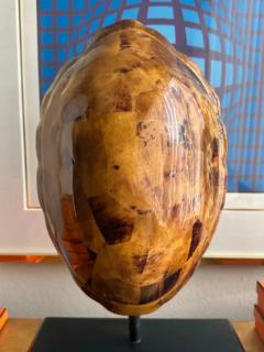 Maitland Smith Faux Tortoise Shell Lamp - 3982627