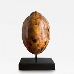 Maitland Smith Faux Tortoise Shell Lamp - 3985036