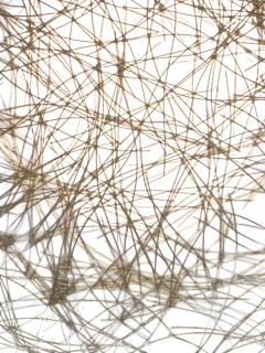 Majestic Lamp company MID CENTURY PAIR OF BRASS BLACK ENAMEL CAGE ACCENT LAMPS - 4470293