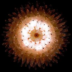 Majestic Pink Murano Palmette Chandelier - 3230543