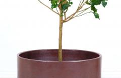 Malcolm LeLand Malcolm Leland David Cressey Studio Planter Pro Artisan Stoneware Rust Glaze - 2264074