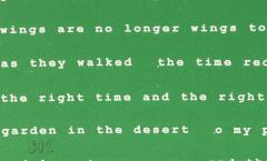 Manuel Pi a Baldoqu n Aguas Baldias Green  - 4477606