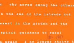 Manuel Pi a Baldoqu n Aguas Baldias Orange  - 4477601