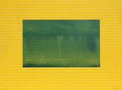 Manuel Pi a Baldoqu n Aguas Baldias Yellow  - 4477592