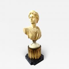 Marble Simulated Bust of Artemis Greece circa 1950s - 3160884