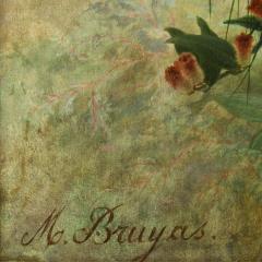 Marc Laurent Bruyas Large 19th century floral still life of a hanging orchid basket by Bruyas - 4448593