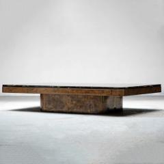 Marcin Rusak FLORA BRONZE RECTANGULAR COFFEE TABLE 218 - 3181233