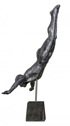 Marco Olivier Free Fall Diver Marco Olivier - 4255042