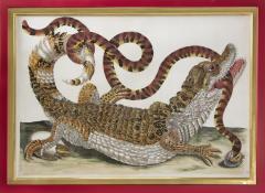 Maria Sibylla Merian MERIAN Alligator with Snake and a Lizard  - 2321430