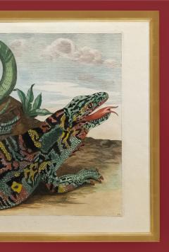 Maria Sibylla Merian MERIAN Alligator with Snake and a Lizard  - 2321435