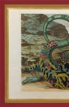 Maria Sibylla Merian MERIAN Alligator with Snake and a Lizard  - 2321436