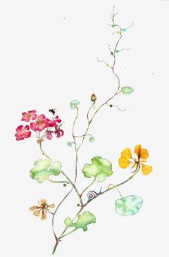 Marilla Palmer Geranium and Bee - 3286083