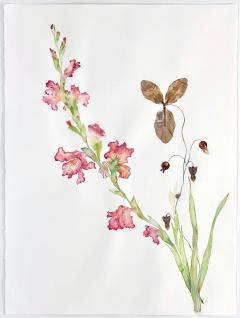 Marilla Palmer Giottos Pink - 3108346