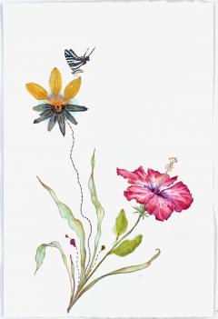 Marilla Palmer Hibiscus and Zebra Butterfly - 3286296