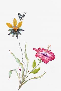 Marilla Palmer Hibiscus and Zebra Butterfly - 3286302