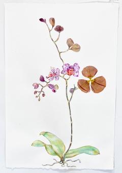 Marilla Palmer Orchid Poppy and Velvet - 3286289