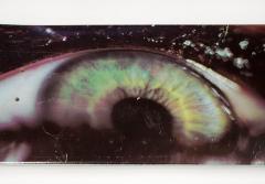 Marilyn Minter Marilyn Minter Photoghaph Series Skateboard Decks for Supreme 2008 NY - 2059569