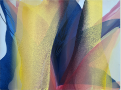 Marina Savashynskaya Dunbar Blue Iris 2025 - 4282812