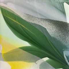 Marina Savashynskaya Dunbar Magnolia X 2025 - 4282800