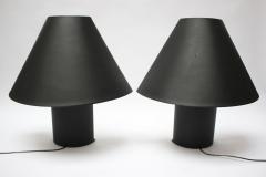 Mario Barbaglia Marco Colombo Pair of Italian Edipo Acrylic Table Lamps by Mario Barbaglia and Marco Colombo - 2977678