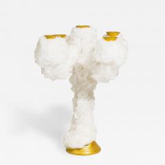 Mark Sturkenboom Dutch Contemporary Crystal 5 Arm Candelabra - 4619541