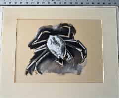 Marsden Hartley Crab - 4299541