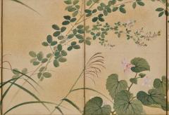 Maruyama Oshin 1838 Japanese Screen Pair Flowers Grasses of the Four Seasons - 4404169